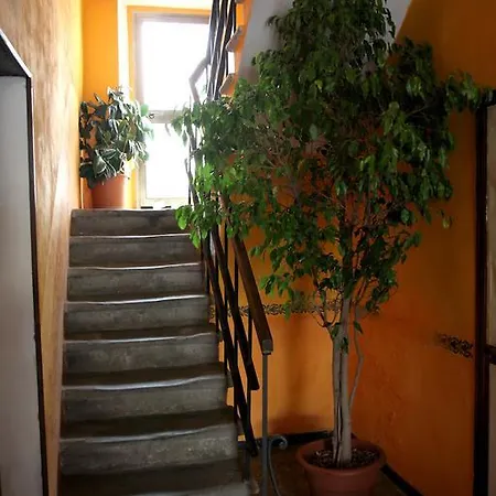 Guest house La Rosa *